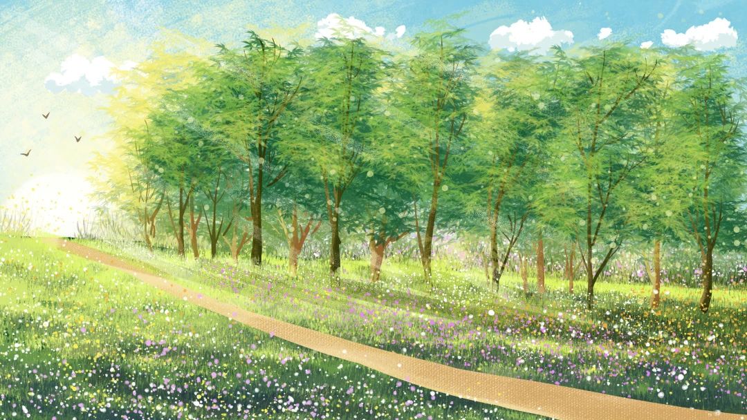 爱于心间 温暖蔓延 | 心理活动月纪实