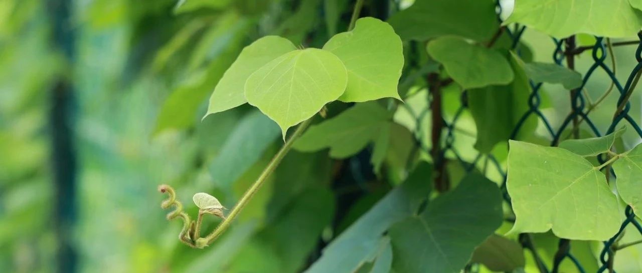 立信2023级高一新生，录取通知书等你开启