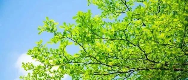 关于“2023年国家义务教育质量监测”致家长的一封信