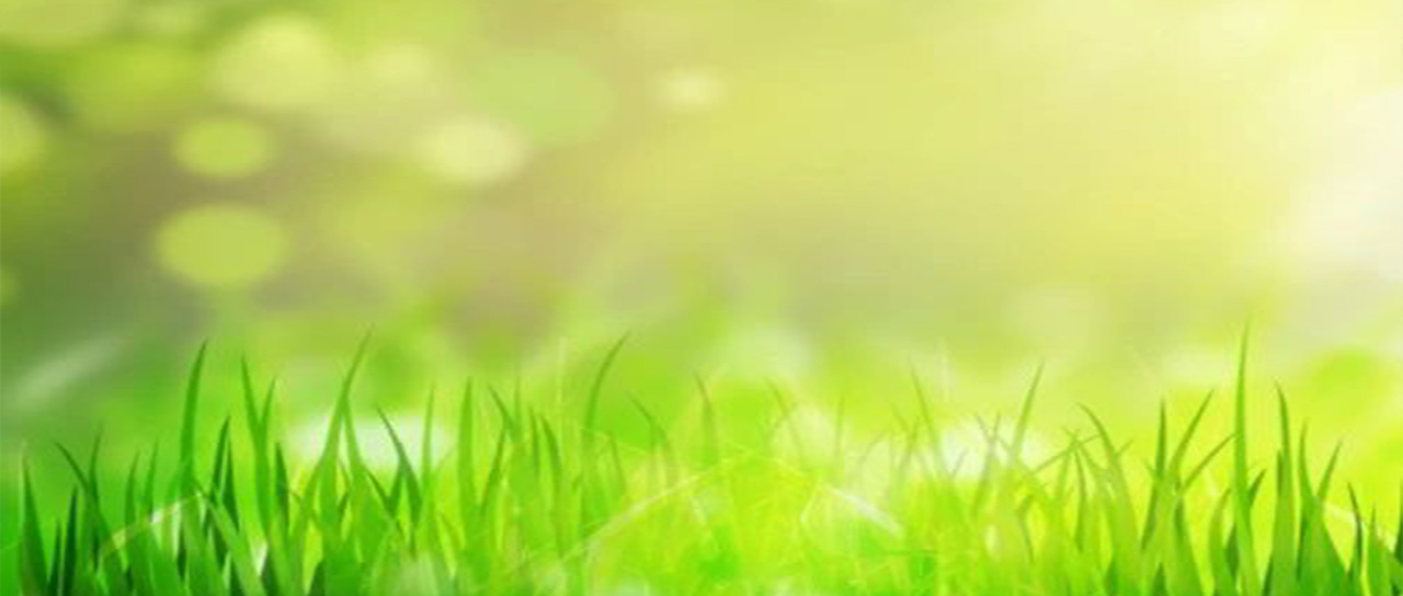 立信初中部教师参加一中集团校暑期培训