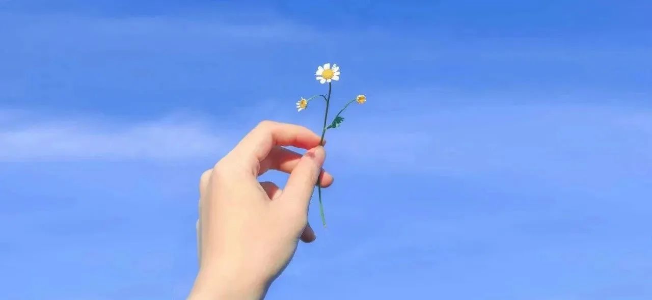 立信花开时，等风也等你！来吧，高中招新啦～