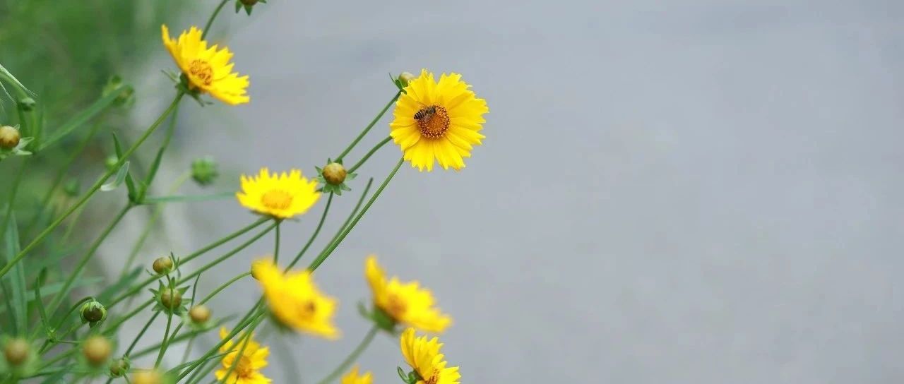 毅行始于脚下 | 初2022级学子毅行活动