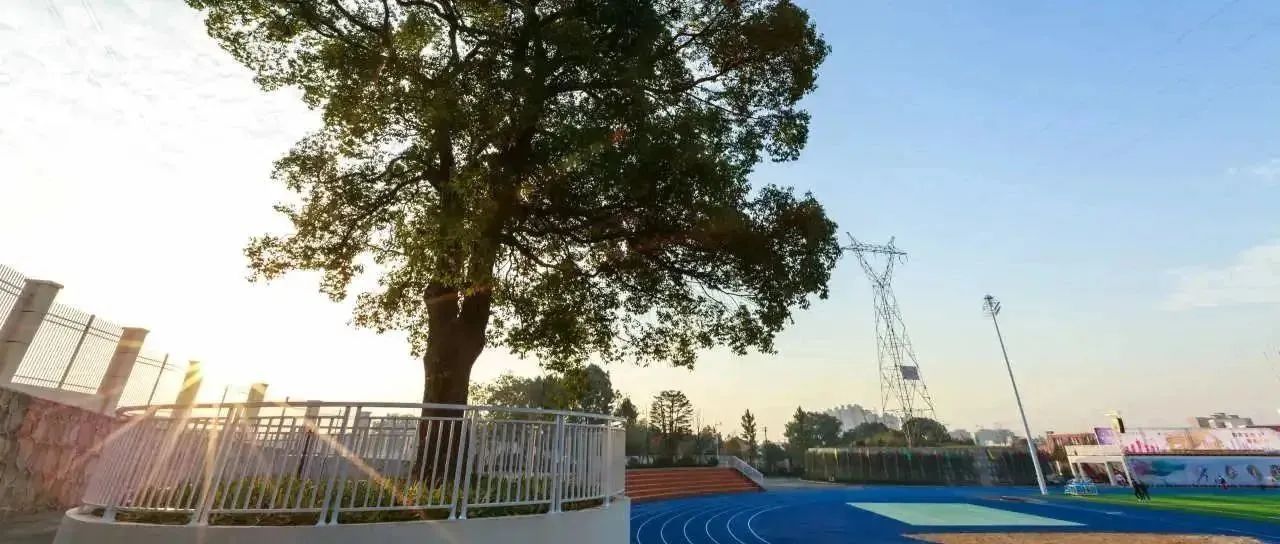 长沙市立信中学高2023级新生录取查询