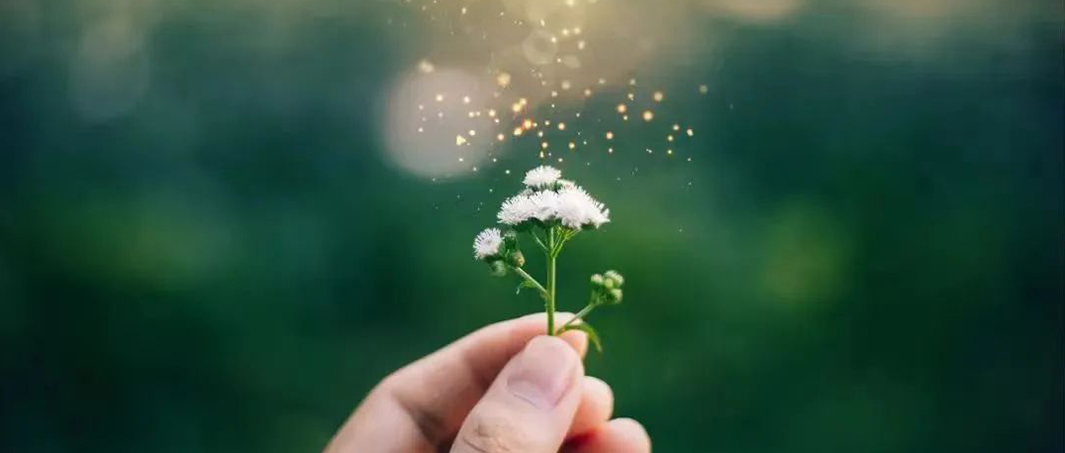 少年梦摘星，挽弓射玉衡 | 立信2022年高考掠影