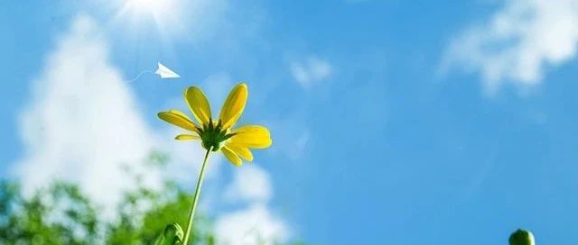 相约立信 邂逅美好｜立信高中招新啦～