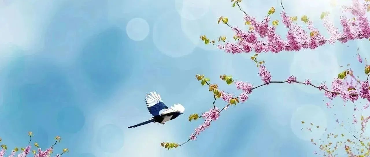 长沙市一中九大学科名师来我校指导教学