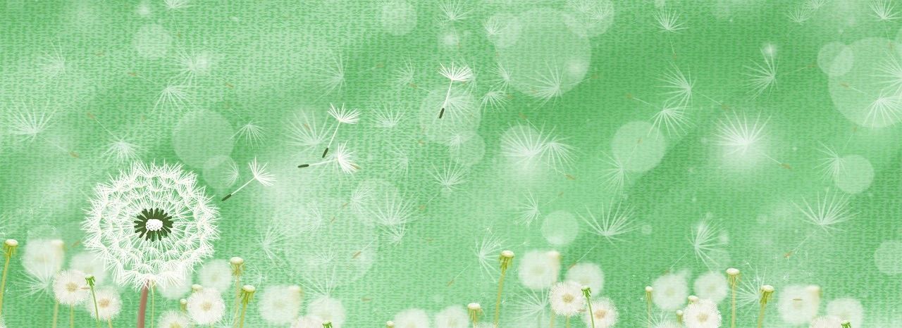 2023年高中美术特长生专业测试结果查询