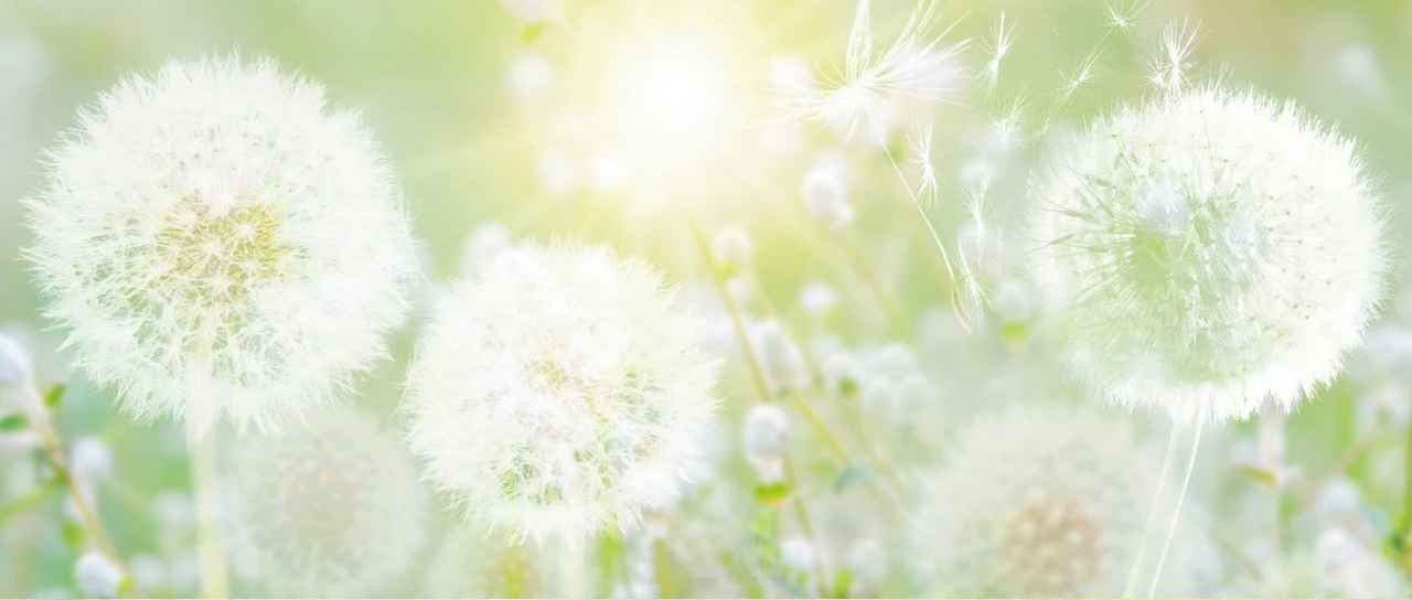 亦师亦友，亦远方 | 立信中学 “青蓝工程”师徒结对活动