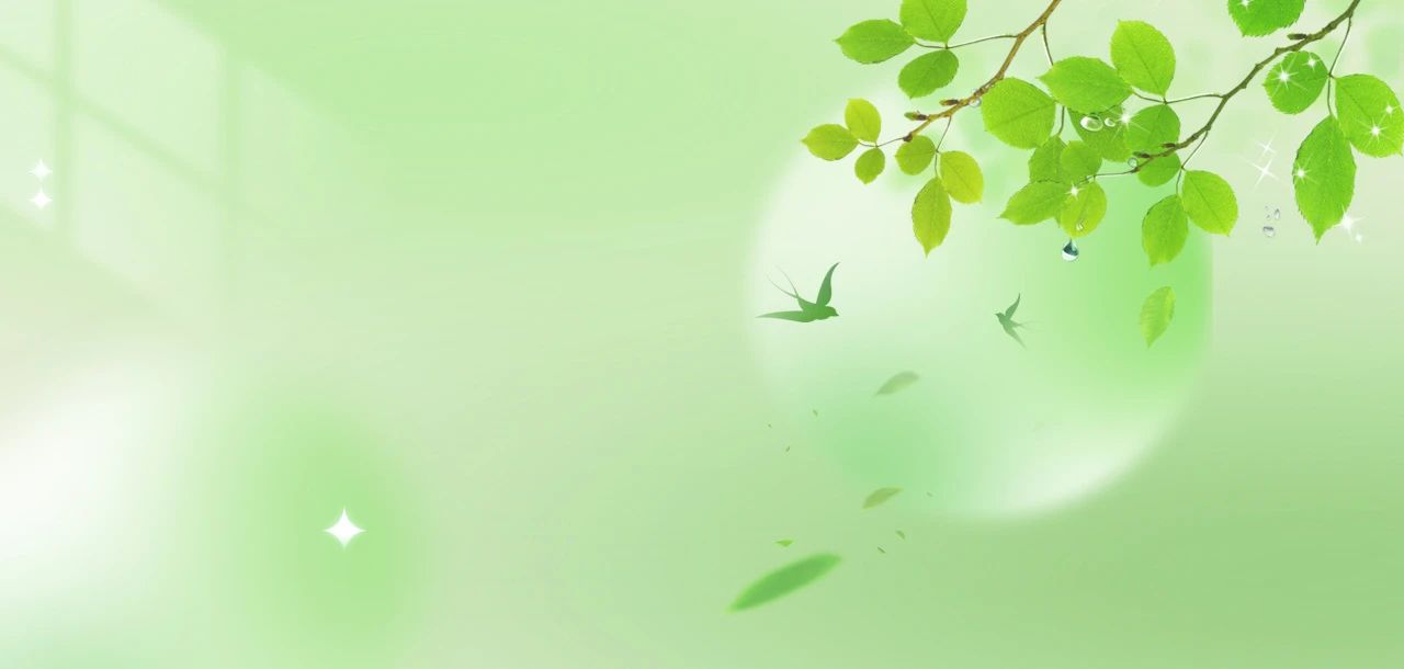 青春不“稍息”｜立信高2023级新生军训结营