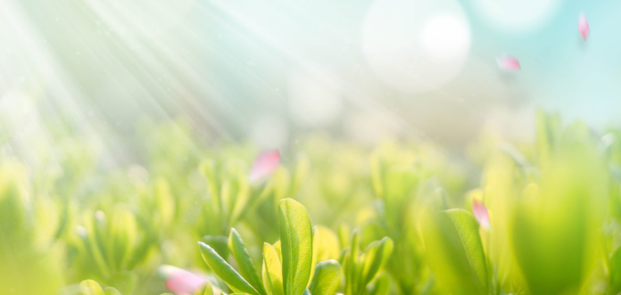 “双减”进行时 | 完美解锁方寸间的收纳魔法～