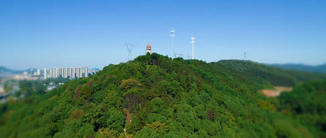 长沙市立信中学 2023年高中美术特长生招生方案