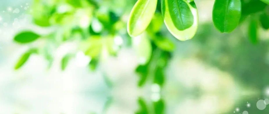 渠清如许，引水长流 | 立信中学初中部教师培训