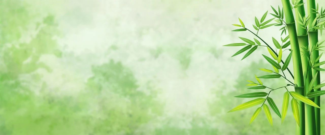 长沙市一中语文特级名师刘骐来我校指导语文教学