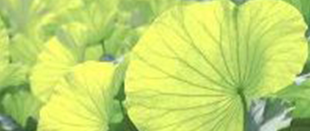 长沙市立信中学高2022级新生录取查询通道开启！