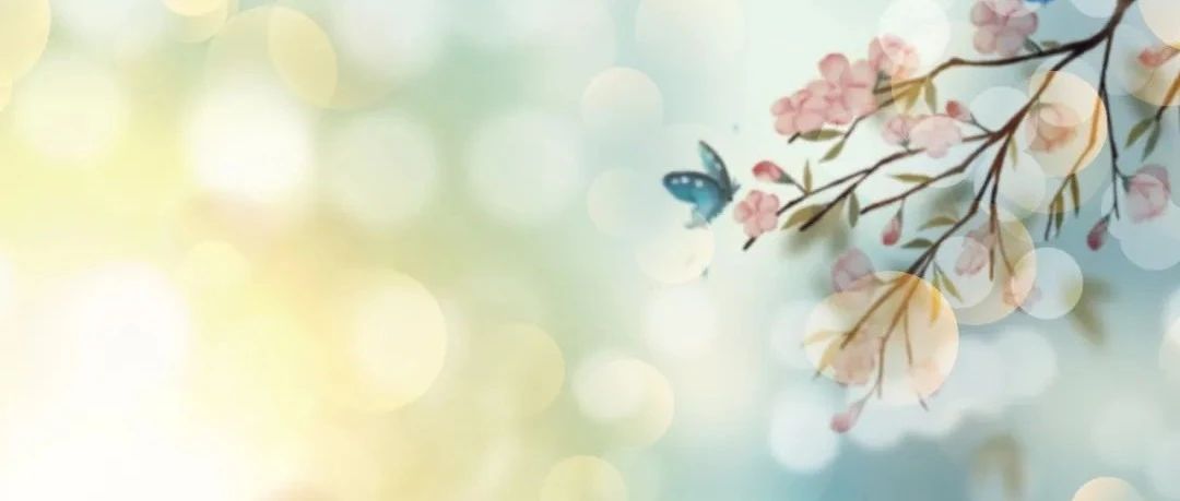 “双减”进行时｜一个片段，一次赋能，成长看得见！