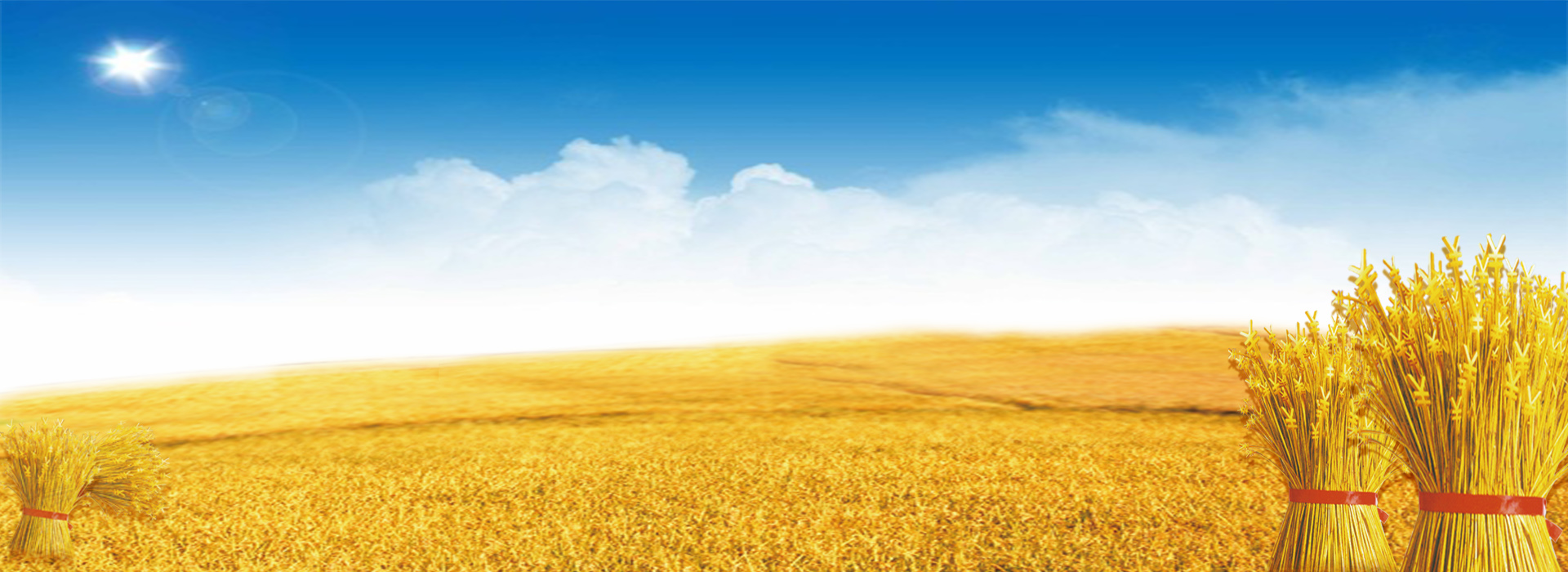 抖擞一春凌云志，万道春光为我来 |  高2021级高考200天倒计时动员大会