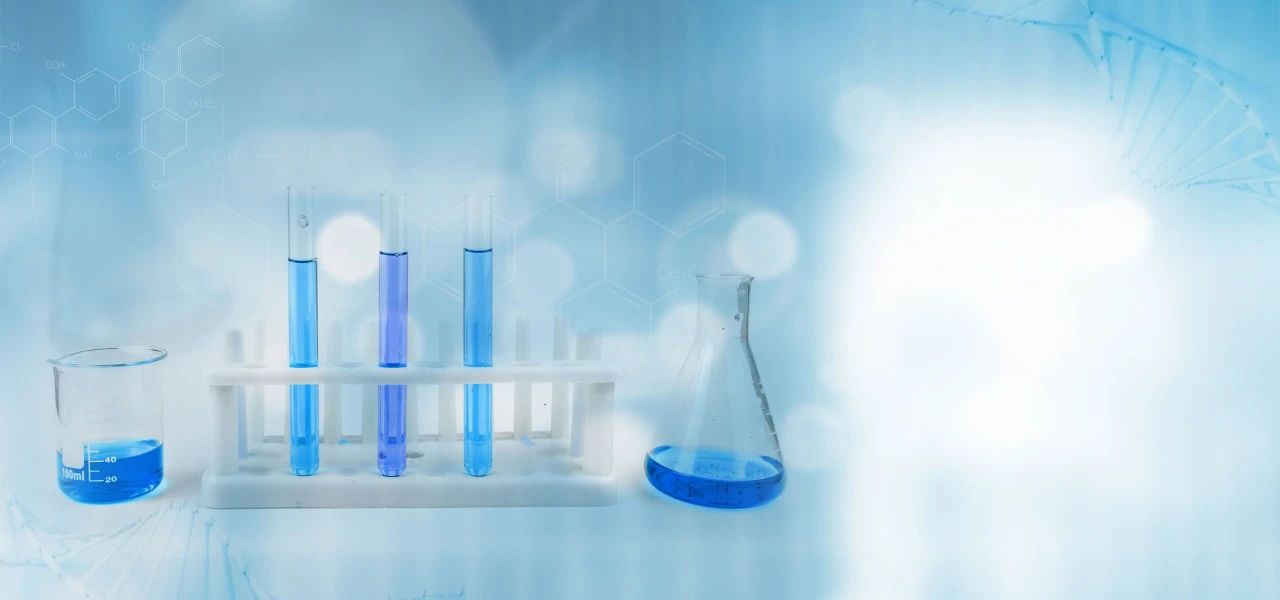 立信“双减”进行时——化学作业