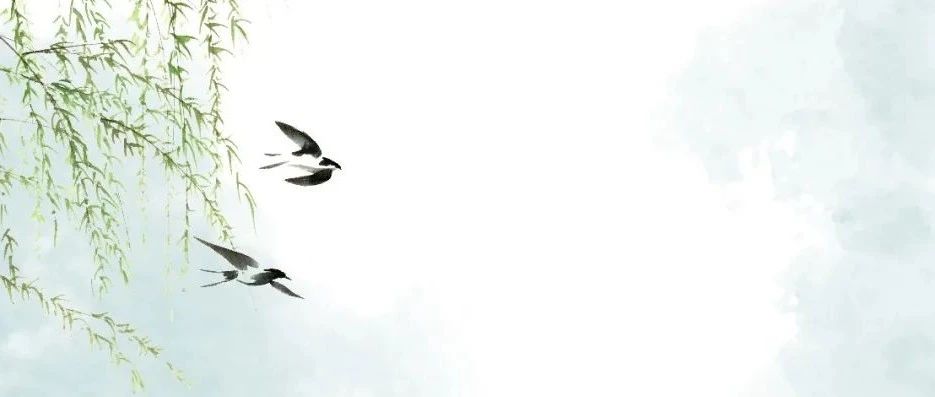 立信“双减”进行时——数学教研