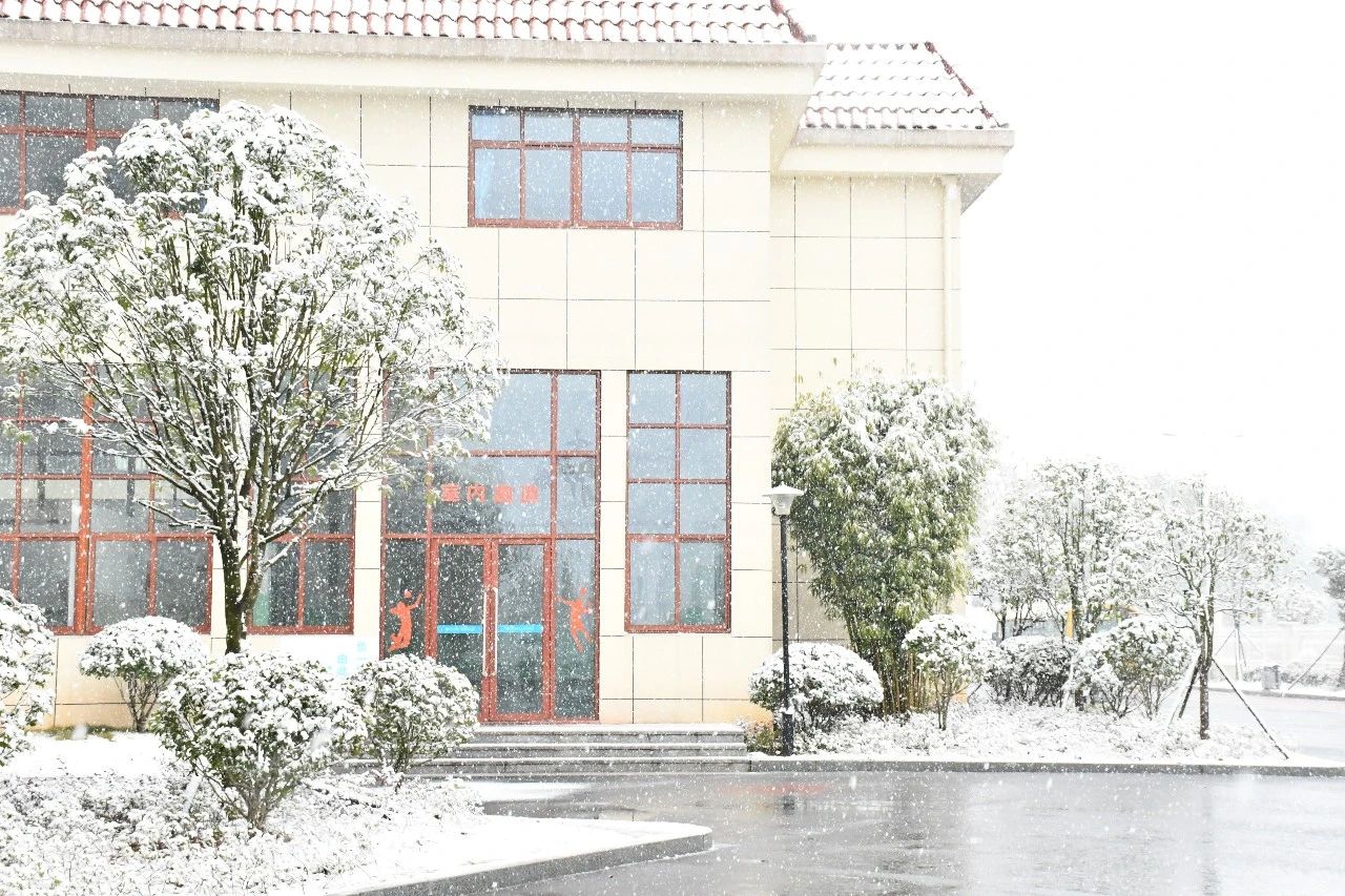 立冬了，我们在立信时光里等一场雪