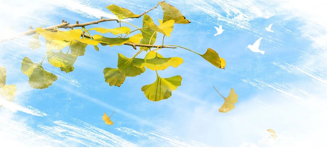 心所向 吾亦往｜湘一立信“青蓝工程”师徒结对仪式