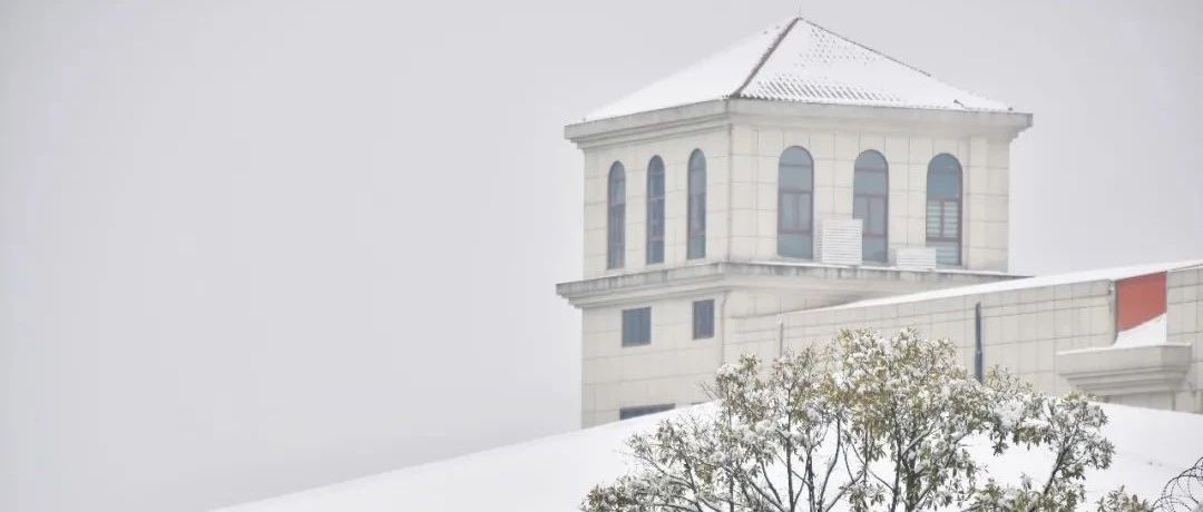 雪融了，我们收藏起立信时光里那些美