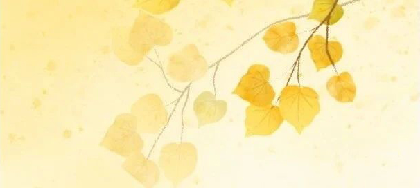 一半书香，一半烟火｜立信老师寒假书单