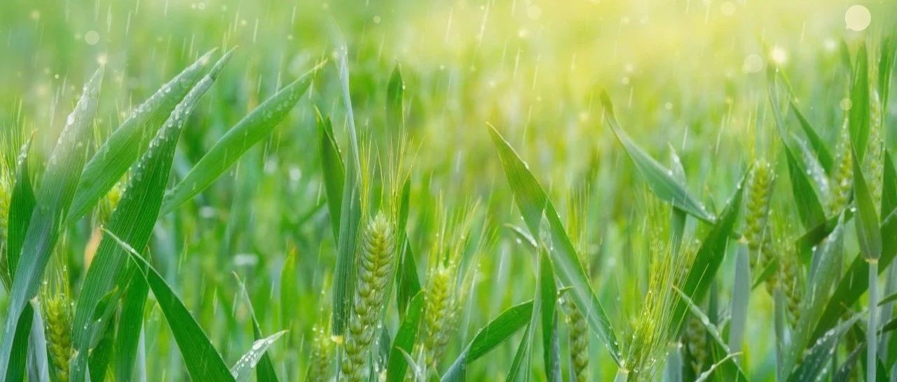 走进青春立信 共赏品质课堂 | 立信中学2024年初中部教学开放日如期而至