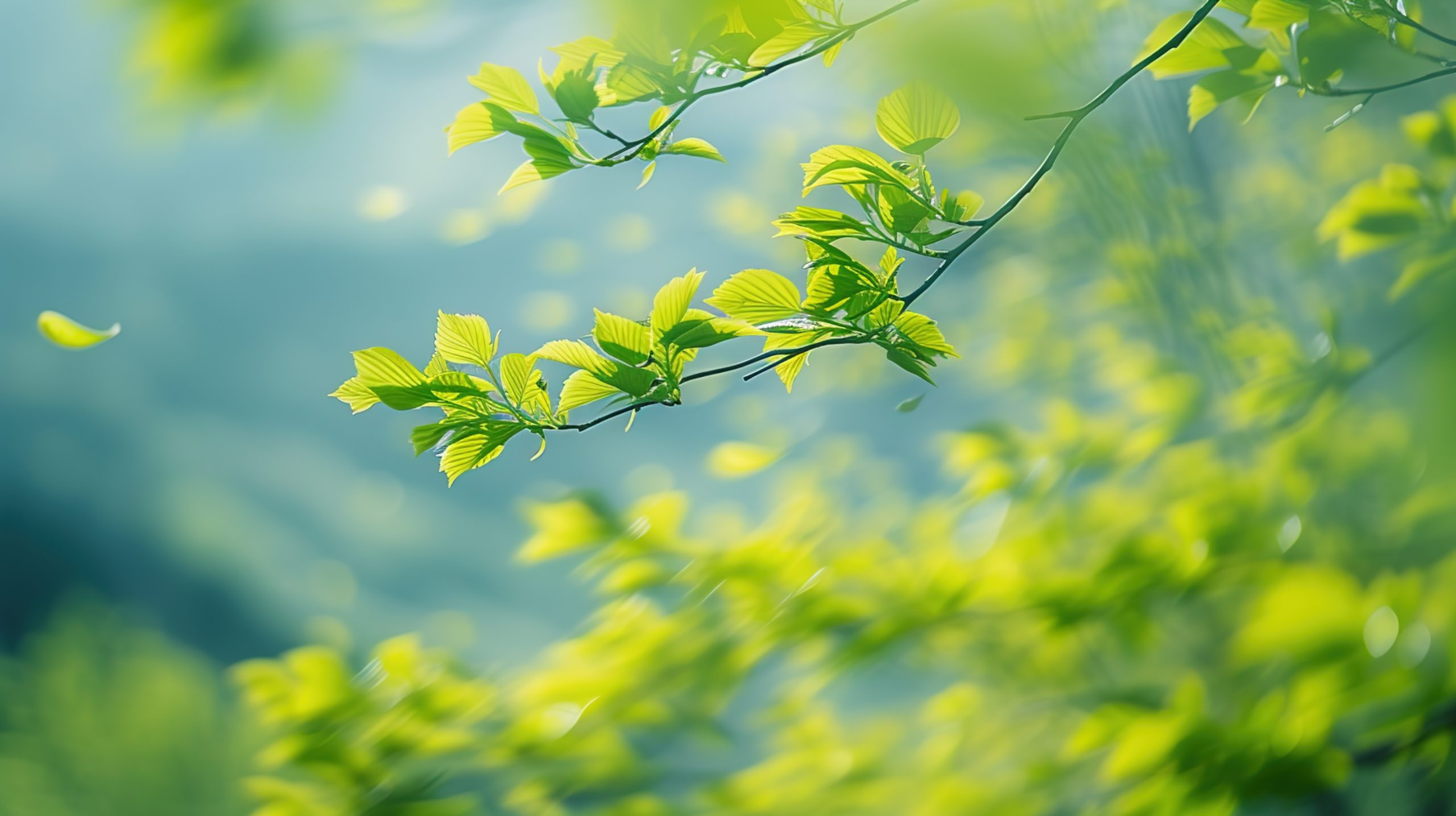 春随风入笔 “字”是有温度