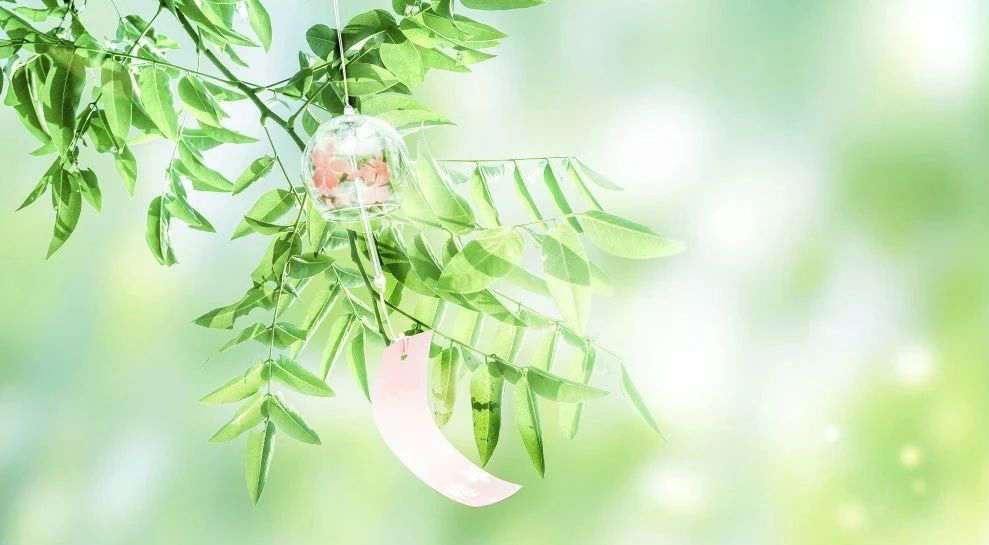 成长是高考最动人的答案