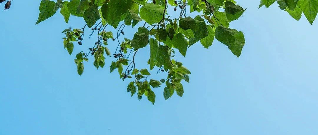 立信中学2024级高一军训结营啦～